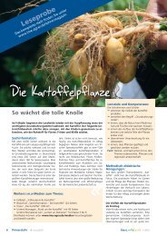 Die Kartoffelpflanze - Ganztägig Lernen - Saarland