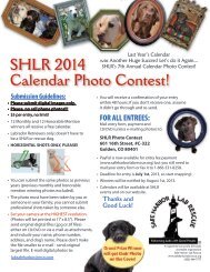 SHLR 2014 Calendar Photo Contest! - Safe Harbor Lab Rescue