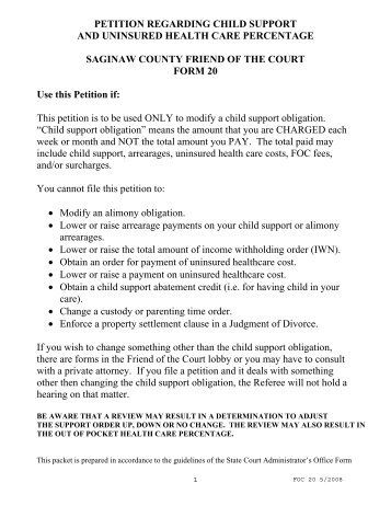 Petition Regarding Child Support, Form 20 - Saginaw County