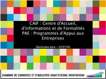 Programmes d'Appui aux Entreprises - (CCI) de Saint-Etienne et ...