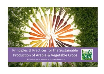 Principles & Practices for Sustainable Production of ... - SAI Platform