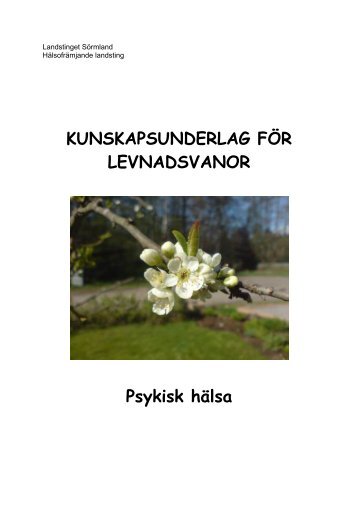 Kunskapsunderlag psykisk hÃ¤ls, 134 kB - Landstinget SÃ¶rmland