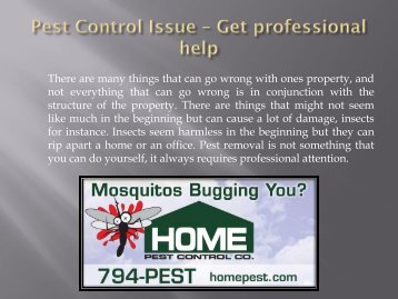 Pest Control Issue – Get professional help