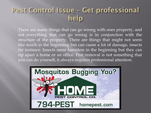 Pest Control Issue – Get professional help