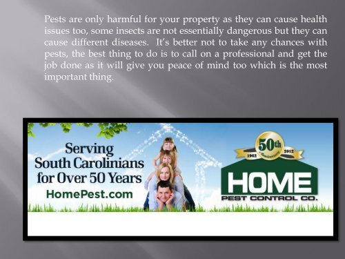 Pest Control Issue – Get professional help