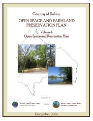 Open Space and Recreation Plan - Salem County