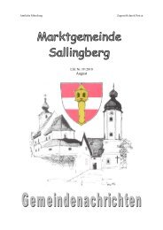 (6,61 MB) - .PDF - Marktgemeinde Sallingberg