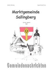 (2,80 MB) - .PDF - Marktgemeinde Sallingberg