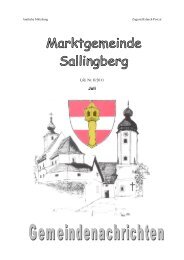 (4,13 MB) - .PDF - Marktgemeinde Sallingberg