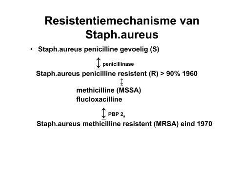 MRSA en ESBL praktijkassistenten (pdf) - Saltro