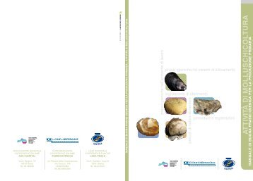 Manuale per la produzione primaria attivitÃ  di molluschicoltura