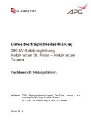 380kv - eb - naturgefahren - jan. 2013 - final.pdf - Land Salzburg