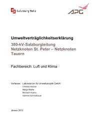 380kv - eb - luft und klima - jänner 2013.pdf - Land Salzburg