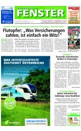 11/2012 - Salzburger Fenster