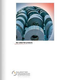 Hot rolled flat products - Salzgitter