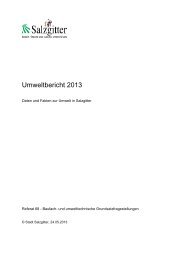 Umweltbericht 2013 - Stadt Salzgitter