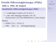 Partielle Differentialgleichungen