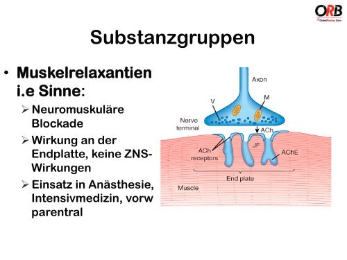 Myorelaxantien bei RÃ¼ckenschmerzen Sinn oder ... - bei der SAMM