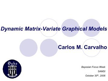 Dynamic Matrix-Variate Graphical Models - SAMSI