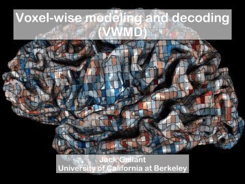 Voxel-wise modeling and decoding (VWMD) - SAMSI