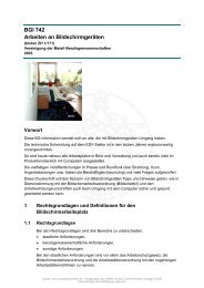 BGI 742 Arbeiten an Bildschirmgeräten - DeCon GmbH