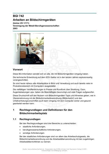 BGI 742 Arbeiten an Bildschirmgeräten - DeCon GmbH
