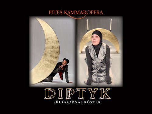 Prog Diptyk.indd - Norrbottens lÃ¤ns landsting