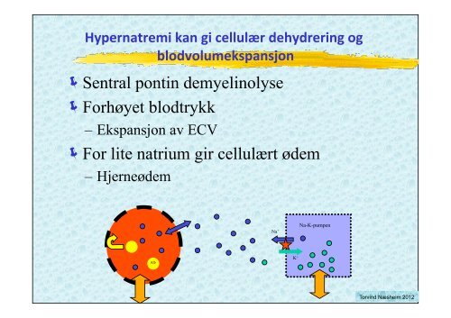 VÃ¦skebehandling medstud 2012