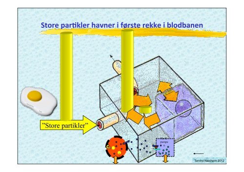 VÃ¦skebehandling medstud 2012