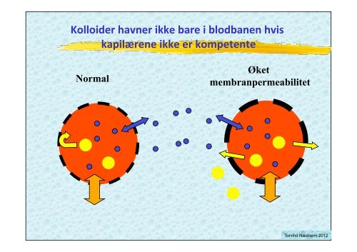 VÃ¦skebehandling medstud 2012