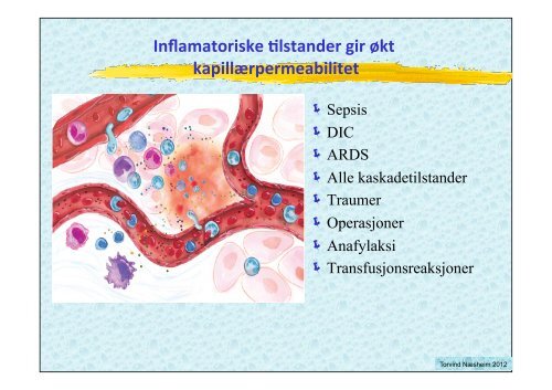 VÃ¦skebehandling medstud 2012