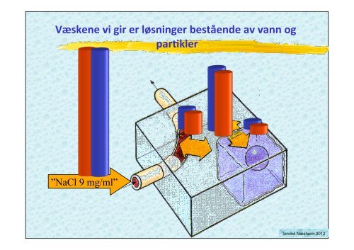 VÃ¦skebehandling medstud 2012