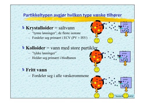 VÃ¦skebehandling medstud 2012