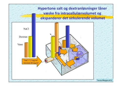 VÃ¦skebehandling medstud 2012