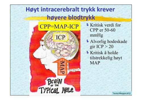 VÃ¦skebehandling medstud 2012