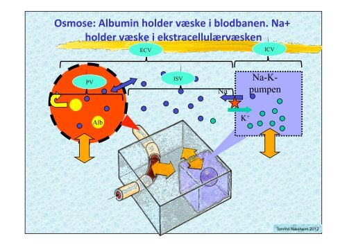 VÃ¦skebehandling medstud 2012