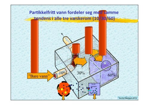 VÃ¦skebehandling medstud 2012