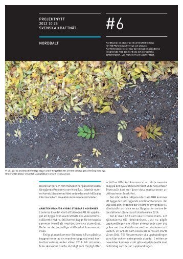 Projektnytt nr 6, 2012-10-25 (pdf 1 MB, nytt fÃ¶nster) - Svenska KraftnÃ¤t
