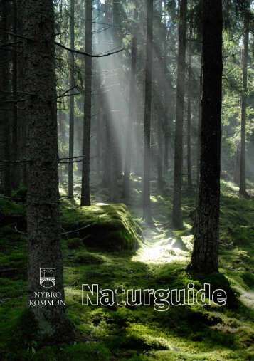 Naturguide (pdf, nytt fÃ¶nster) - Nybro kommun