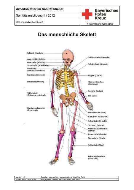 Arbeitsblatt Skelett
 Arbeitsblatt Das menschliche Skelett Sanitätsausbildung