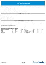 Hoja de datos de seguridad - SÃ¡nchez