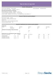 Hoja de datos de seguridad - SÃ¡nchez