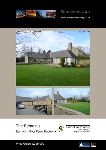 Download Brochure - Sanderson Young