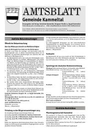 Kammeltal_04_13.pdf - Gemeinde Kammeltal