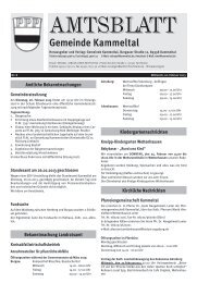 Kammeltal_08_13.pdf - Gemeinde Kammeltal