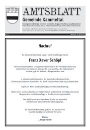 Kammeltal_17_13.pdf - Gemeinde Kammeltal