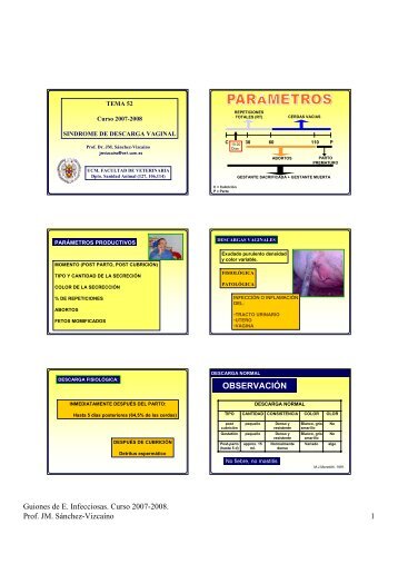 SÃ­ndrome de descarga vaginal - Sanidad Animal