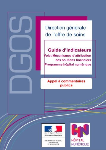 Le projet de guide d'indicateurs - Ministère des Affaires sociales et ...