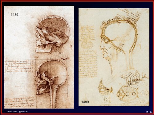 Rabelais et la médecine au 16ème siècle