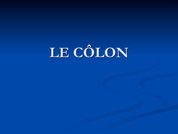 Anatomie Descriptive du Colon